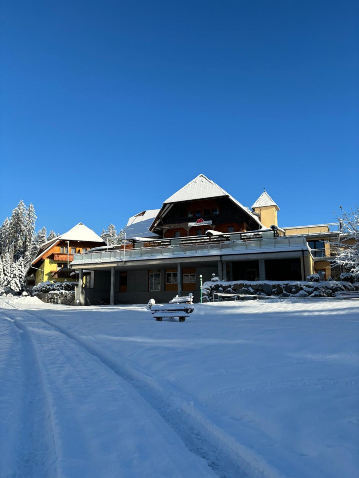 Landhaus Lauble Hornberg Exteriör bild