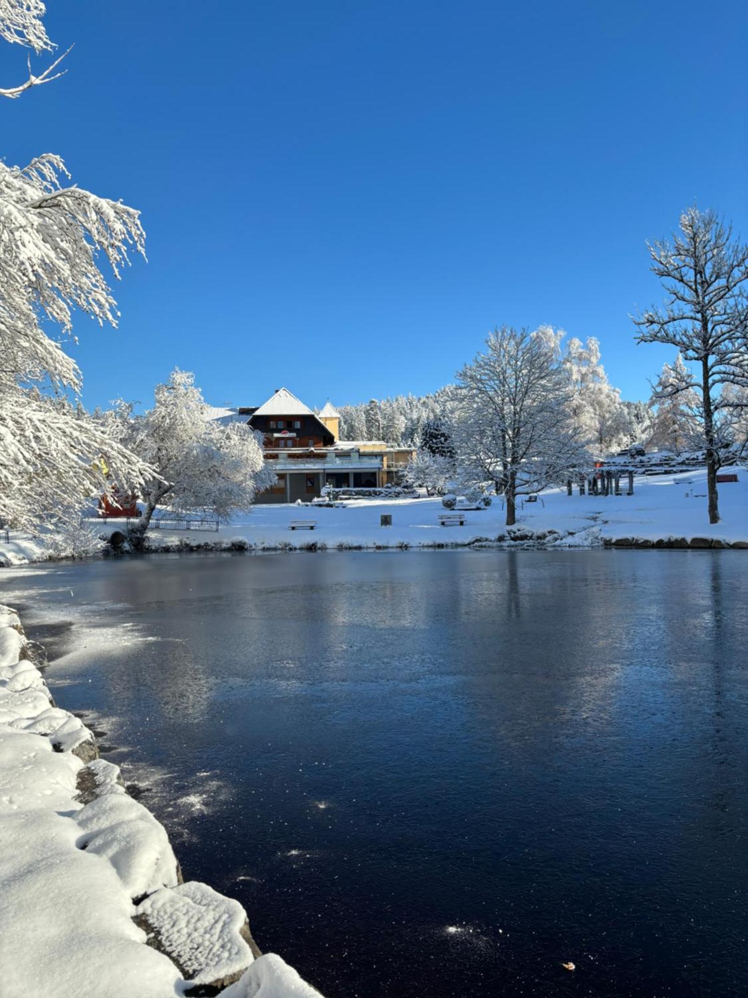 Landhaus Lauble Hornberg Exteriör bild
